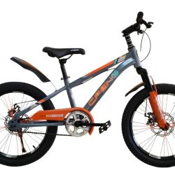 BMX 20 GREY.ORANGE